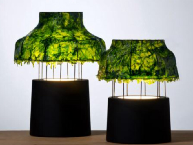 Seaweed Lamps by Meiri