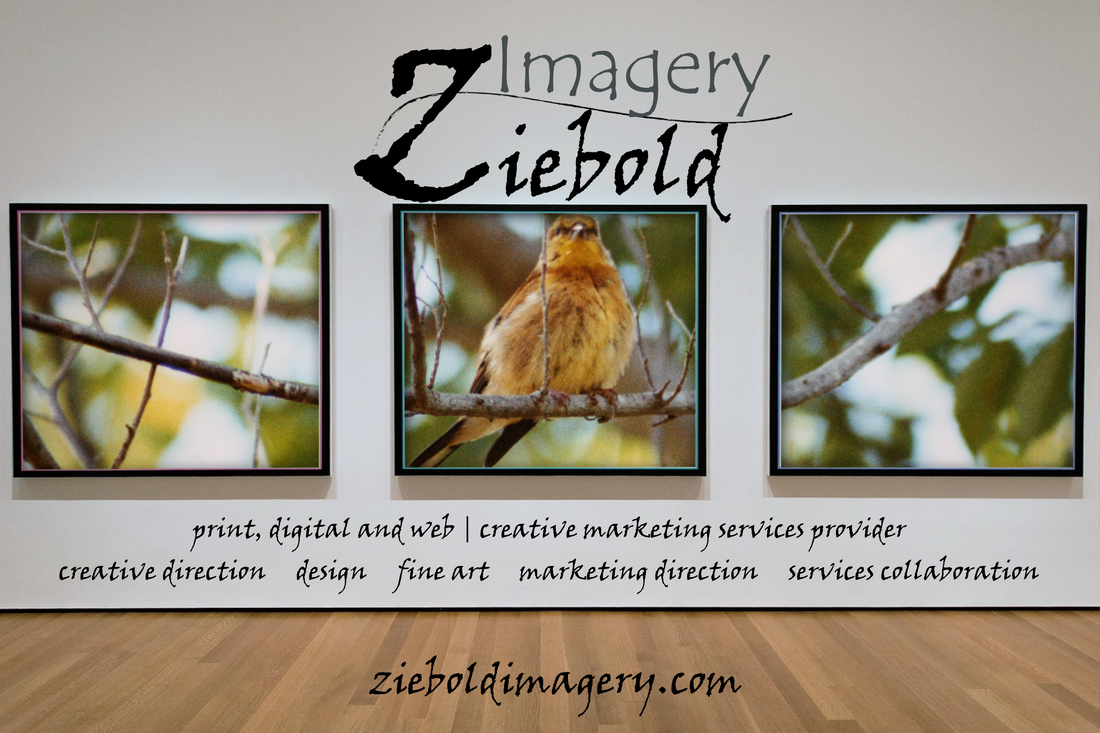 Fine Art to enhance any commercial space! Fine Art by Ziebold Imagery. Your print, digit and web design | creative marketing services provider. Providing creative direction, design, fine art, marketing direction and services collaboration. 